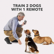 Нашийник для тренування / корекції поведінки собак Dog Care TC 08